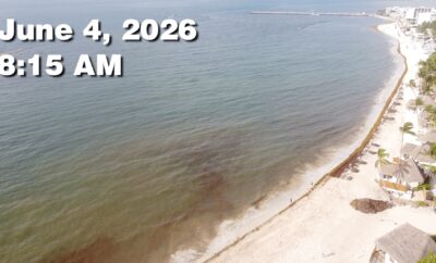 Daily Sargassum Sargasso Seaweed Report at Playa del Carmen, Mexico June 4, 2026