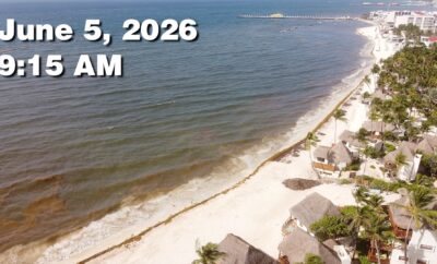 Daily Sargassum Sargasso Seaweed Report at Playa del Carmen, Mexico June 5, 2026