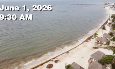 Daily Sargassum Sargasso Seaweed Report at Playa del Carmen, Mexico June 1, 2026