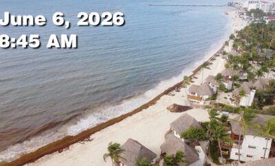 Daily Sargassum Sargasso Seaweed Report at Playa del Carmen, Mexico June 6, 2026