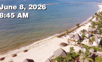 Daily Sargassum Sargasso Seaweed Report at Playa del Carmen, Mexico June 8, 2026
