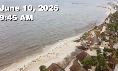 Daily Sargassum Sargasso Seaweed Report at Playa del Carmen, Mexico June 10, 2026