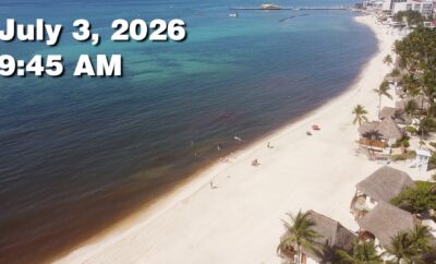 Daily Sargassum Sargasso Seaweed Report at Playa del Carmen, Mexico July 3, 2026