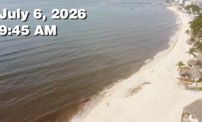 Daily Sargassum Sargasso Seaweed Report at Playa del Carmen, Mexico July 6, 2026