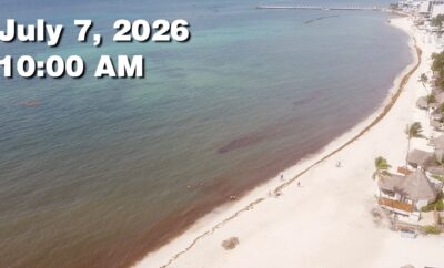 Daily Sargassum Sargasso Seaweed Report at Playa del Carmen, Mexico July 7, 2026